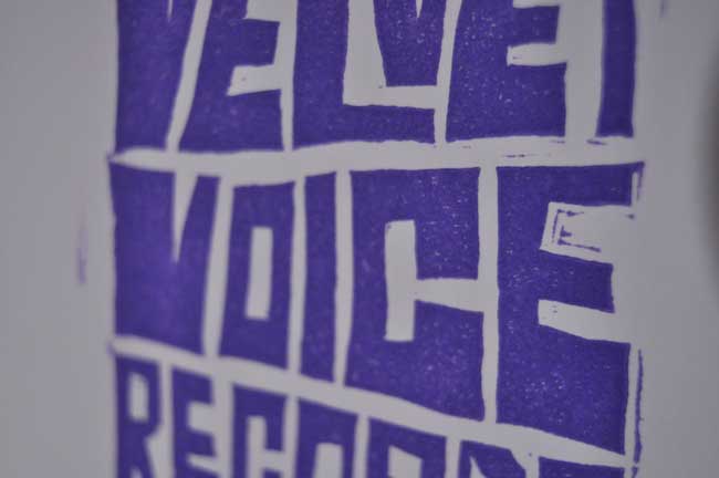 Velvet Voice Records detail